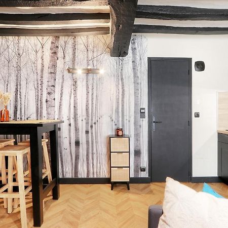 Le Moon, Bel Appartement Pres Du Parc Du Thabor Rennes Zewnętrze zdjęcie