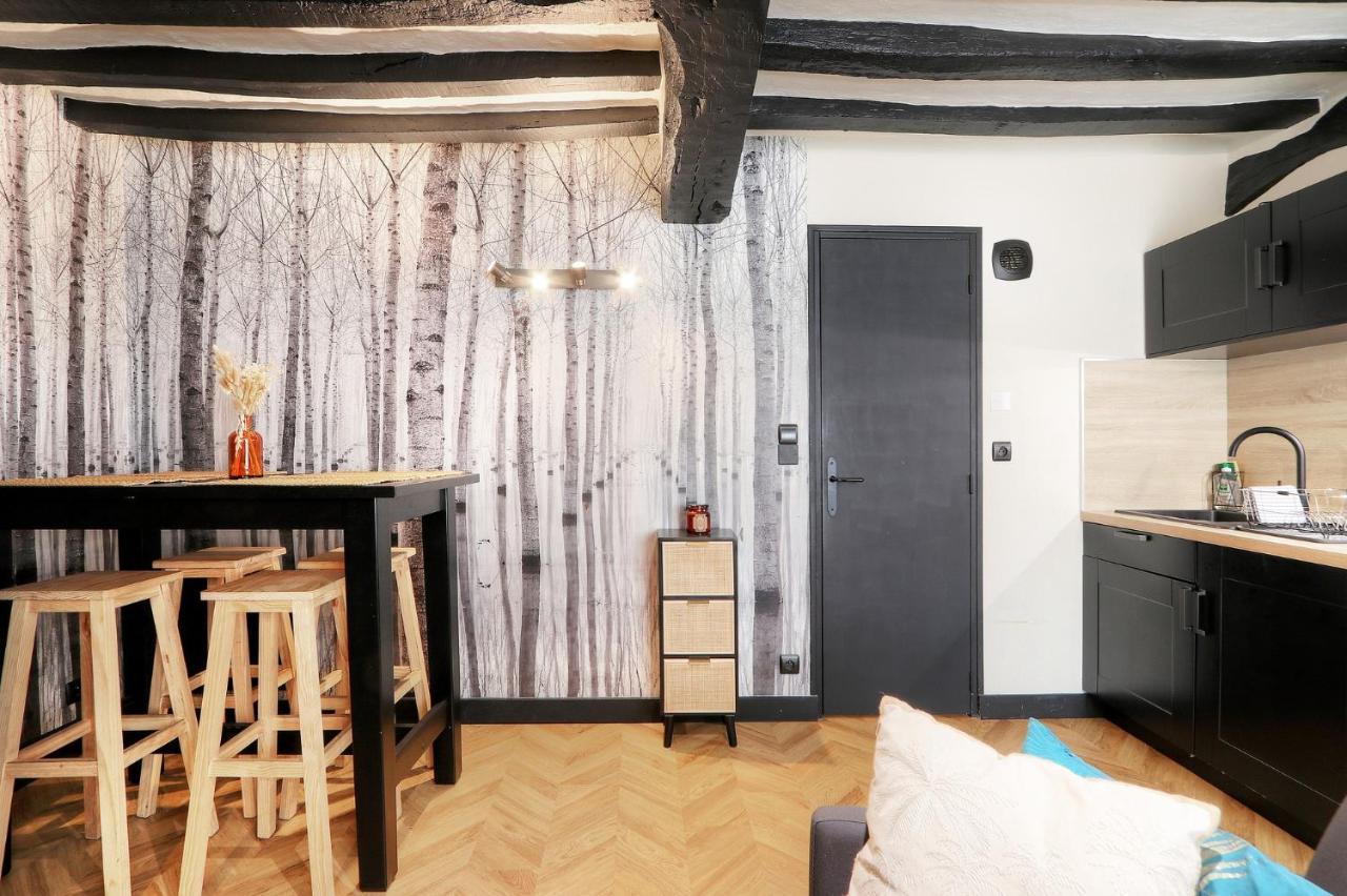 Le Moon, Bel Appartement Pres Du Parc Du Thabor Rennes Zewnętrze zdjęcie